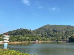 -水濂山森林公园