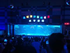 -泉城欧乐堡海洋极地世界