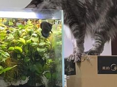 -北京观赏动物医院·24小时大型综合·猫专科·异宠专科