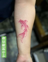 点击看大图 -针牛刺客·刺青纹身