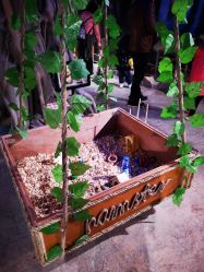 -酷嗒动物文化乐园(cutezoo西溪乐天城店)