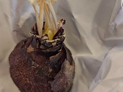 -丝绸小镇荻港古村