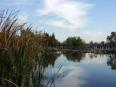 -前关湿地公园