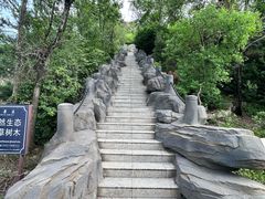 -大伊山景区