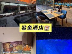 -哈尔滨波塞冬海底世界