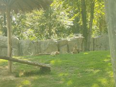 -北京野生动物园