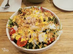 金枪鱼樱花虾沙拉配芝麻酱-Cyclus Craft Kitchen薩克思手工厨房