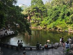 -柳侯公园