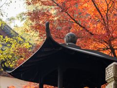 -韬光茶庵
