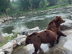 -北京野生动物园