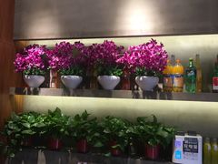 -香满园春饼·家常菜(东大桥店)