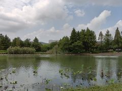-长广溪湿地公园
