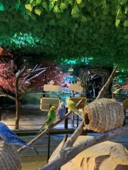 -酷嗒动物文化乐园(cutezoo西溪乐天城店)