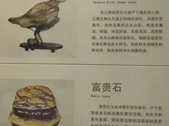-中华赏石园