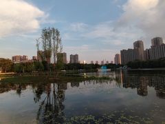 -仙女湖公园
