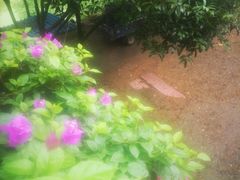 -宅里香.自然餐厅(湘大店)