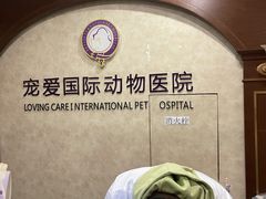 -宠爱国际动物医院· 猫科· 外科·中兽医(长白店)
