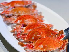 -皇朝会.经典传统粤菜(外滩店)