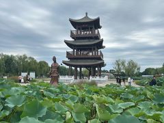 -白洋淀景区