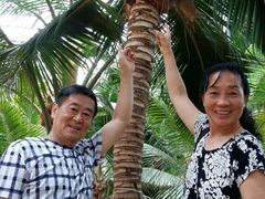 -北戴河集发农业梦想王国