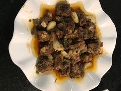 -云中小雅