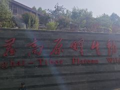 -青藏高原野生动物园