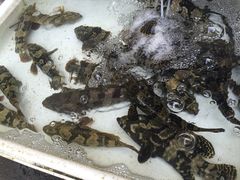 -拉威海鲜市场