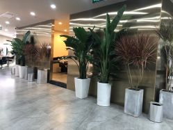 -DX HAIR SALON·发现未知美发沙龙