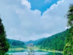 -武陵山森林公园