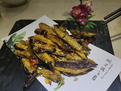-四小姐的店(泉舜店)
