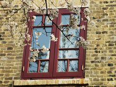 -武汉大学-樱园