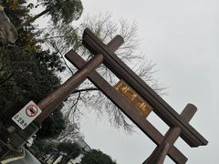 -龙井村