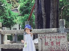 -上海佘山国家森林公园天马山园