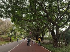 -南宁南湖公园