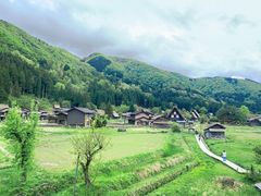 -白川乡与五箇山的合掌构造村落