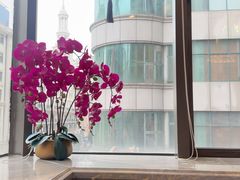 -新雅粤菜馆(南京东路店)