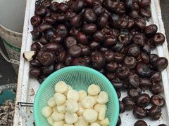 -徐氏糯米包油条(山海关路店)