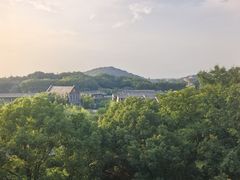-上海佘山世茂艾美酒店