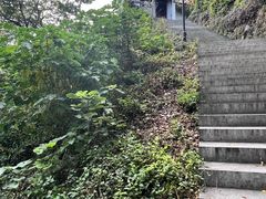 -苏州上方山国家森林公园