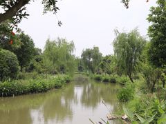 -鹅湖玫瑰文化园