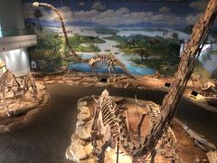 -自贡恐龙博物馆