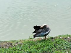 -西安浐灞国家湿地公园