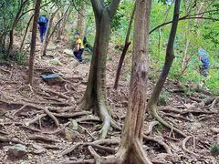 -紫金山山顶公园