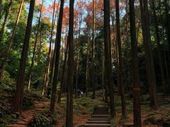 -凤栖山