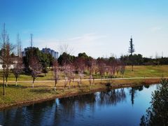 -眉山湿地公园(东坡区)