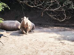 -普洱太阳河森林公园