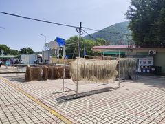 -杨梅坑