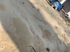 -小象托育