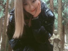 -武陵山森林公园