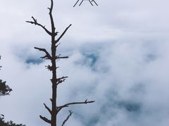 -牛背梁国家森林公园